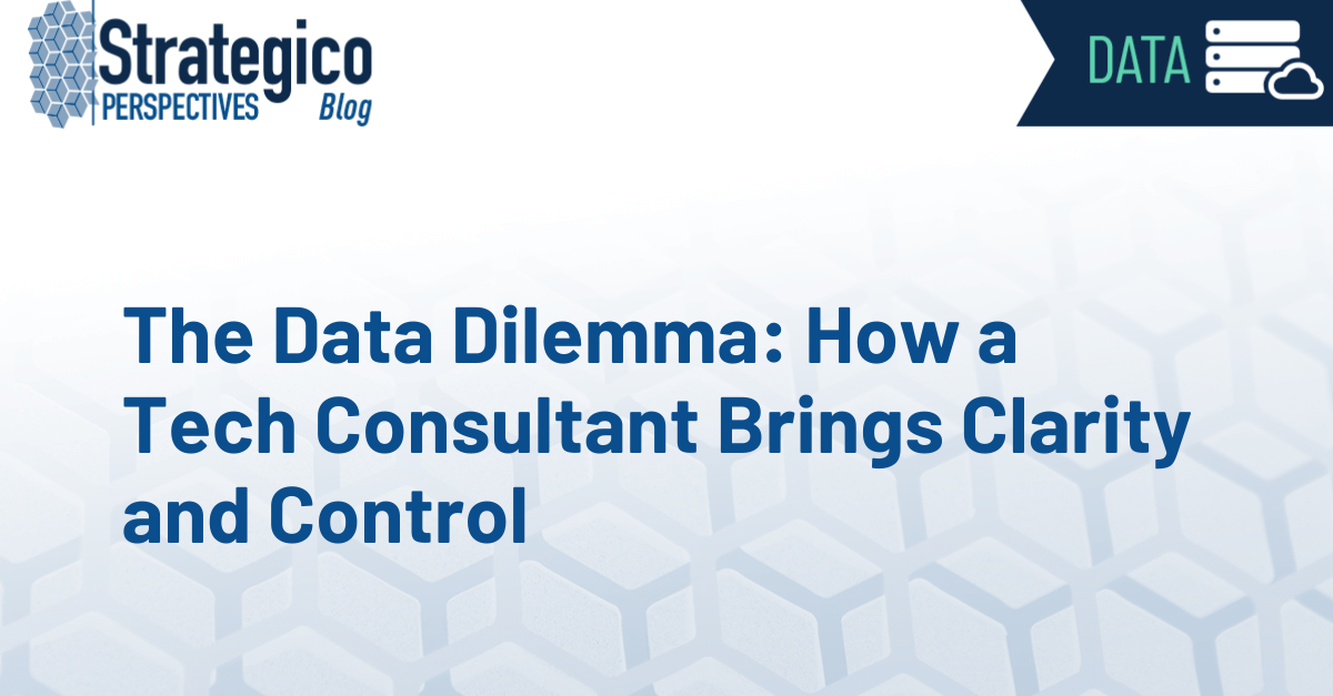 The Data Dilemma: How a Tech Consultant Brings Clarity and Control