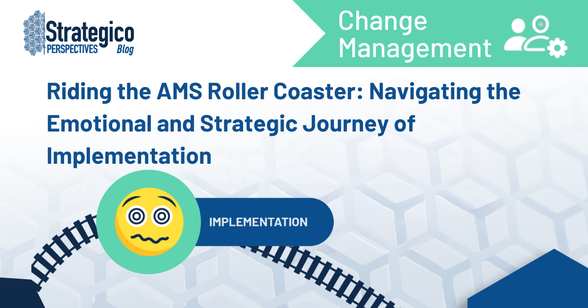 Riding the AMS Roller Coaster: Navigating the Emotional and Strategic Journey of Implementation