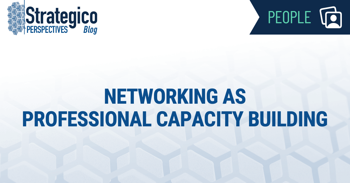 Networking as Professional Capacity Building